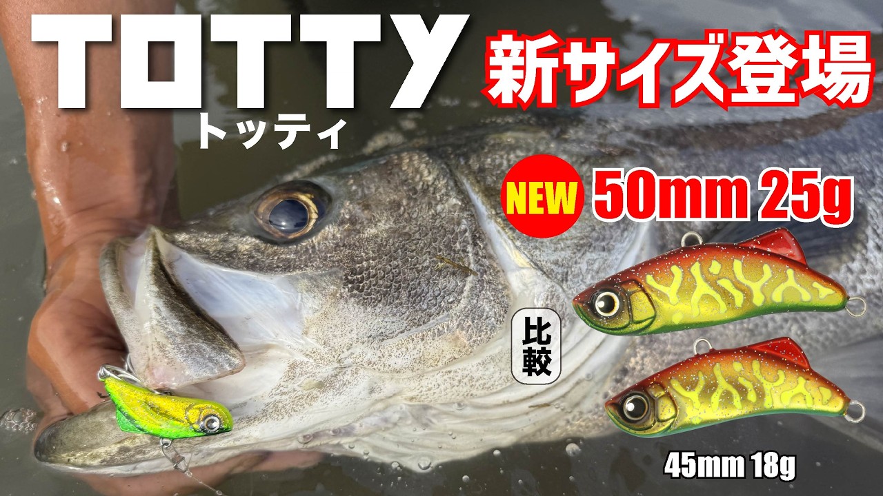 Explanation of the new 2026 product, TOTTY 25g: A larger version