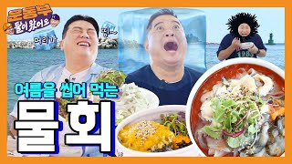 [EN] 해삼전복물회, 성게알밥, 오징어회, 성게미역국, 오징어순대로 여름을 씹어 먹쟈!❤  [둘이 왔어요 EP106]