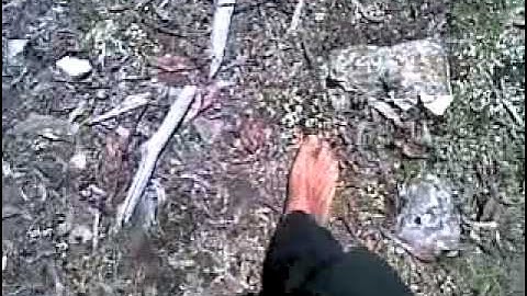 (N.)... Worlds Most Politically Incorrect Joke