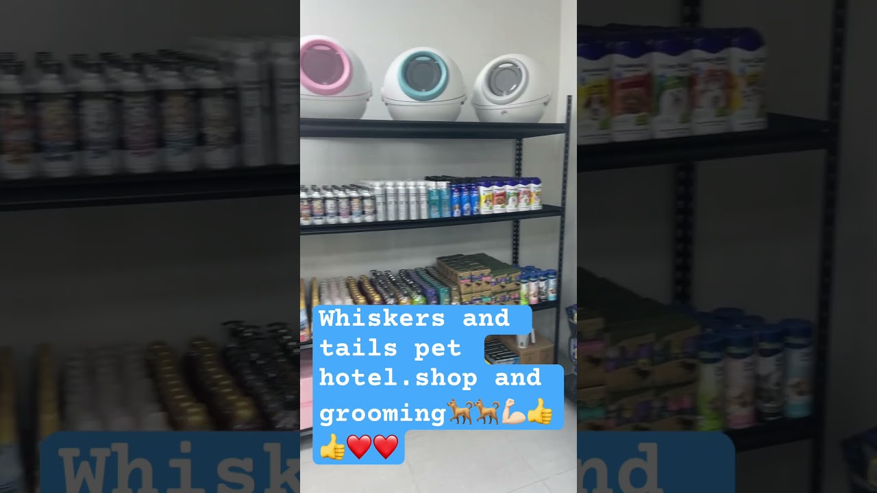 Whiskers and tails pet shop, grooming and hotel 