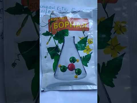 04.08.2022 Кальцием подкормка