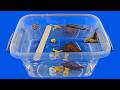 STEM Robotics Programs for Kids | Float &amp; Sink Experiment
