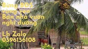 Quá khó khăng nợ nần chồng chất ngân hàng đến hạng cân bán trả nợ ngân hàng 🏦