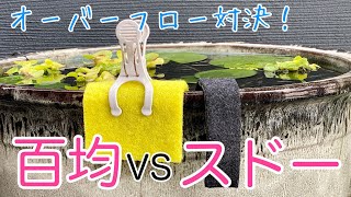 メダカのオーバーフロー対決！スドーVS百均：メダカ×ガーデン