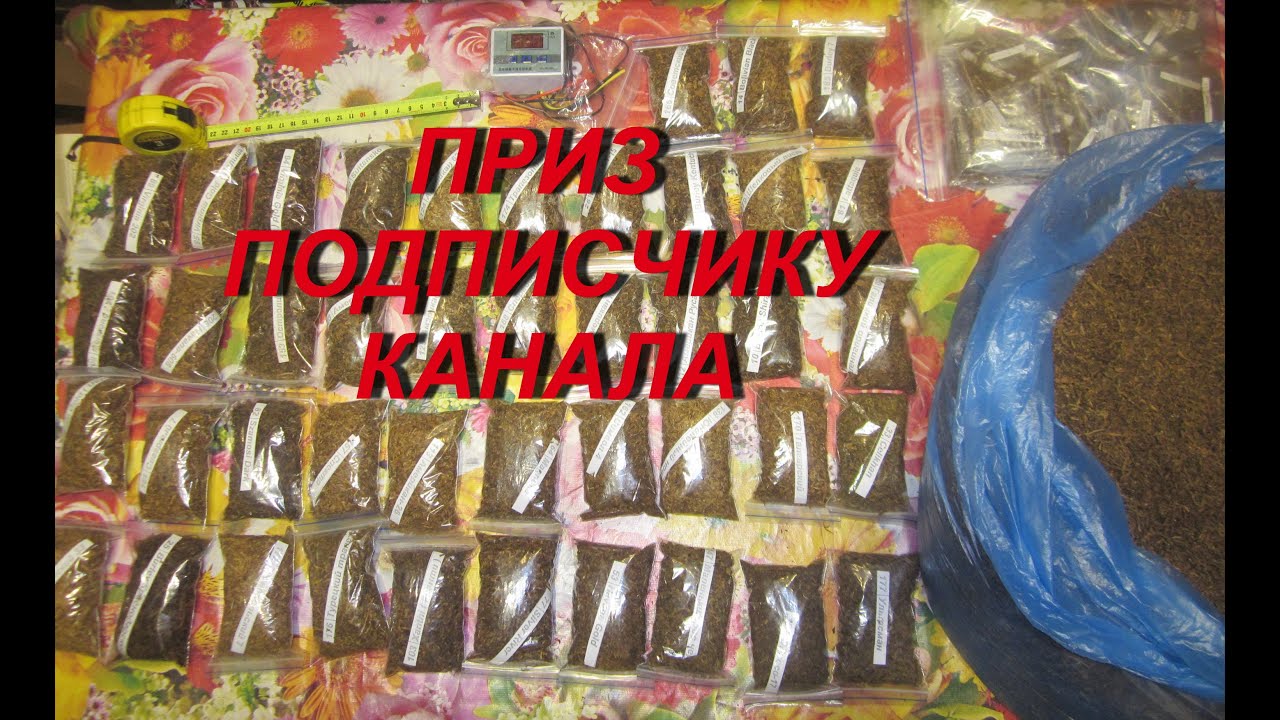 Посев Бай Интернет Магазин