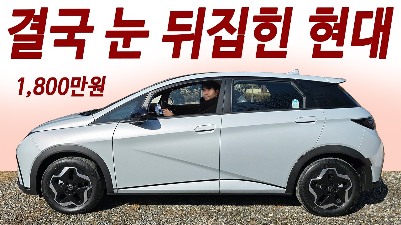 천만원대 독일차급 성능! 현대차 절반가격 출시 후 뉴스공격 시작! 신경 1도 안쓰는 돌핀