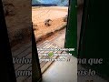 la triste vida militar de los soldados en el cuartel ejercito #ffaa #infanteria #ejercito #soldados