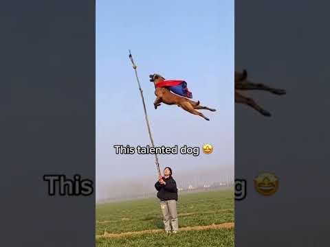 motika5