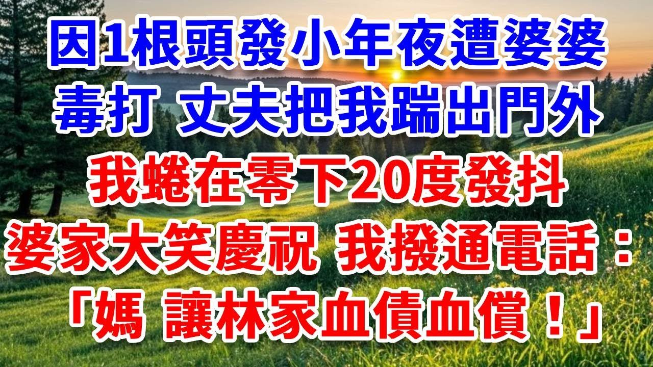 只因1根頭發沒打掃幹凈，小年夜遭婆婆毒打，丈夫把我踹出門外，我蜷在零下20度發抖，婆家大笑慶祝，我撥通電話：媽，讓林家血債血償！#詩涵講故事#為人處世#生活經驗#情感故事#晚年哲理#說故事#原創故事