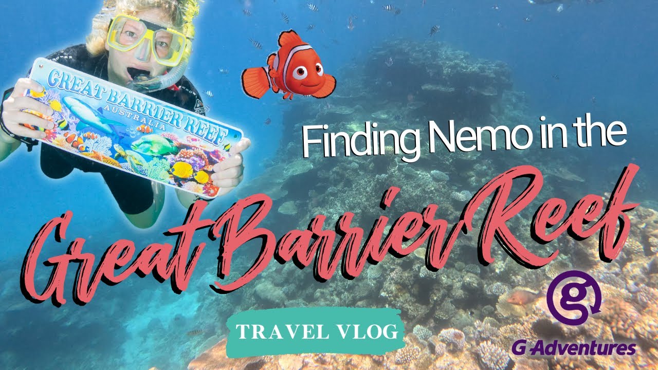 P10 | Snorkelling in the Great Barrier Reef | G Adventures Australia | Natasha Atlas