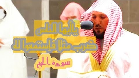 "يا أيها الناس ضُرب مثلا فإستمعوا له" الاسر الشيخ ماهر المعيقلي يرتلها ترتيلا - سورة الحج