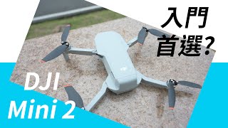 《空拍機》DJI MINI 2  再度進化的入門空拍機【相機王】 