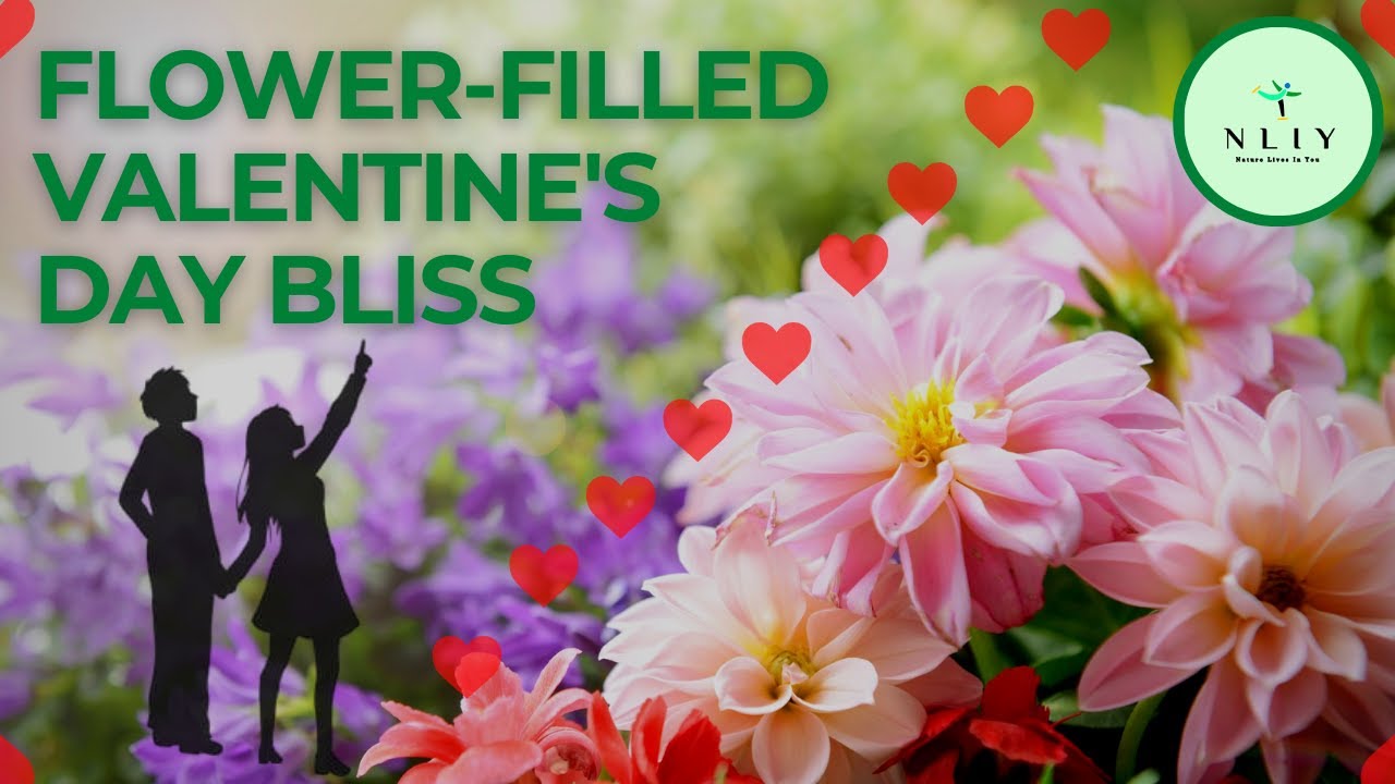 The Perfect Date | A Valentine's Day Adventure Through the Garden of Love