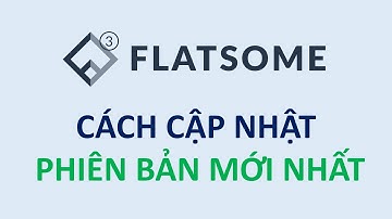 Hướng dẫn cách cập nhật - update Theme Flatsome thủ công (không cần key)