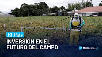 $9 billion invested in agricultural innovation in the Cauca Valley | El País Cali