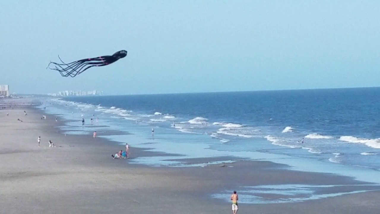 Giant Octopus Kite Garden City Pier In South Carolina Myrtle Giant Octopus Kite Garden City Pier In South Carolina Myrtle Beach Area April 29 2017
