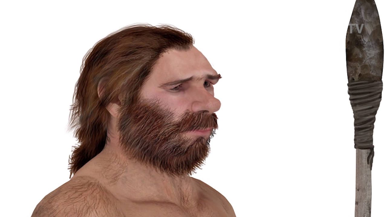 the-origins-of-language-youtube