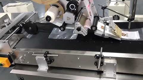 Auto stand up pouch labeling machine