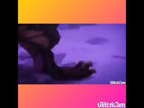 مونستر هنتر اصابة راذلوس بالافة السوداء على أغنية حلمي تحطم واختفى