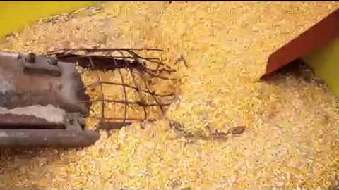 From grain wagon to auger!