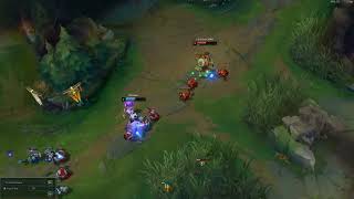 Chad Thresh Flash for 300g