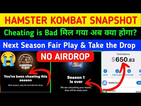 🚨Hamster Kombat Snapshot