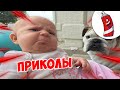 ЗАСМЕЯЛСЯ - ПОДПИСАЛСЯ! | FUNNY MOMENTS 2023 | 613 СЕКУНД СМЕХА! | #344