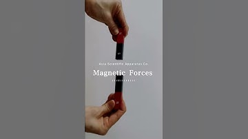 Magnetic Forces - Attract and Repel