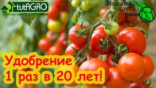 Забудьте О Подкормках Фосфором И Кальцием! Вношу Это Удобрение Раз В 20 Лет И Не Парюсь!