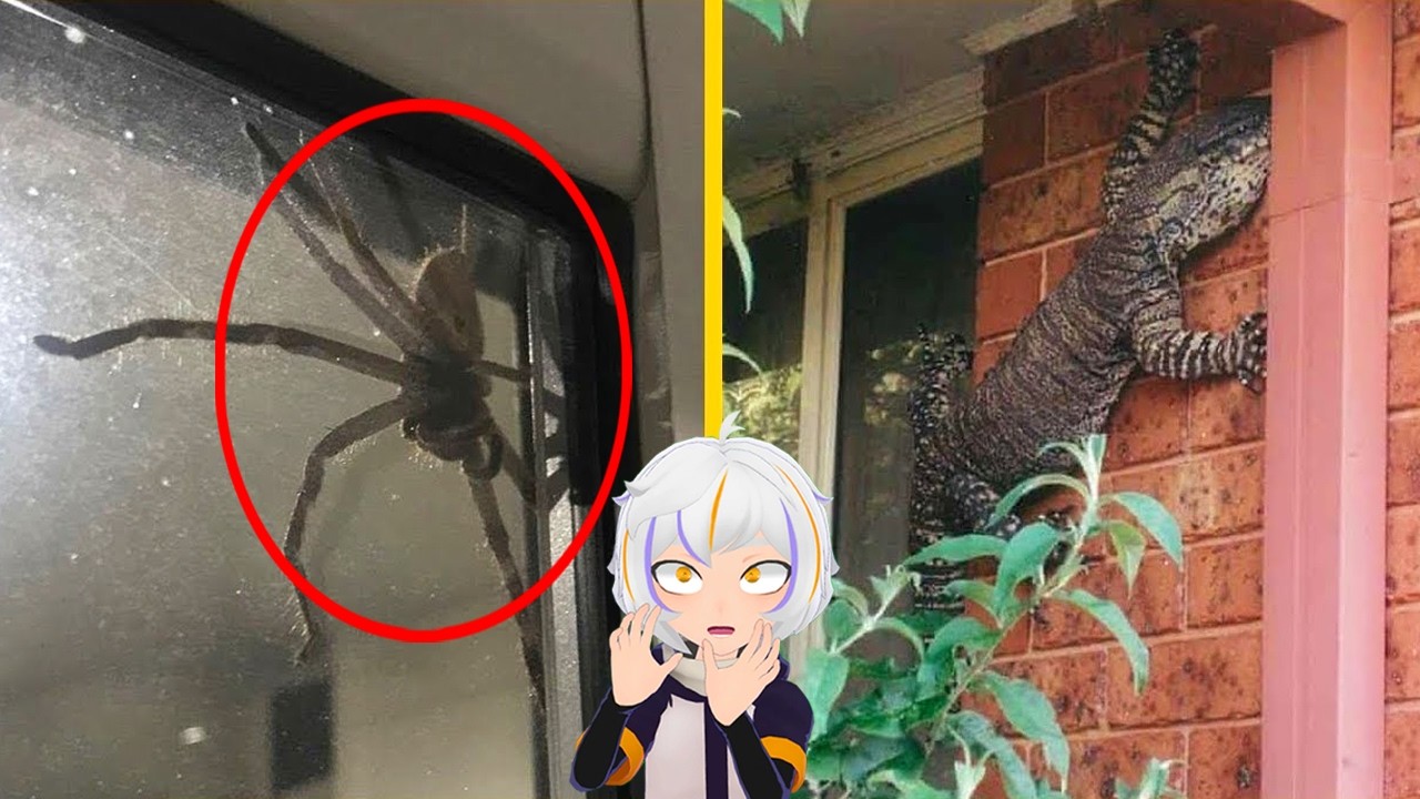 10 Animales Espeluznantes Encontrados En Hogares | ChuyMine REACCIONA a BÚHO SABIO