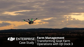 Streamlining Goat Farm Operations with DJI Dock 3