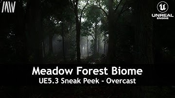 MAWI Meadow Forest | Unreal Engine 5.3 | Sneak Peek Overcast #unrealengine #UE5 #gamedev