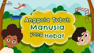 Mengenal Anggota Tubuh | Anggota Tubuh Manusia yang Hebat | Video Belajar Anak | Video Edukasi