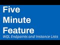 Instance Lists with WQL Endpoints