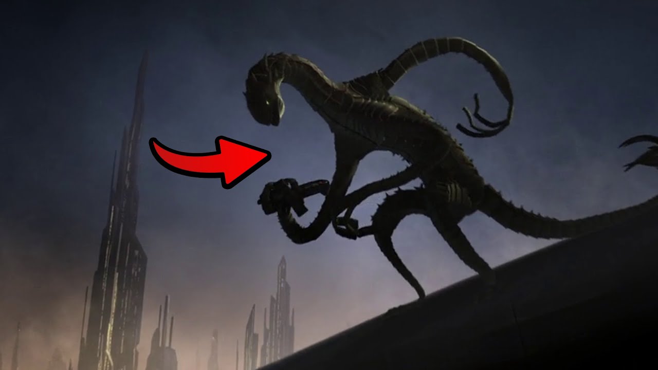 WTF happened to the Zillo Beast? YouTube