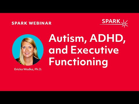 The Overlap Between Autism, ADHD, and Executive Functioning