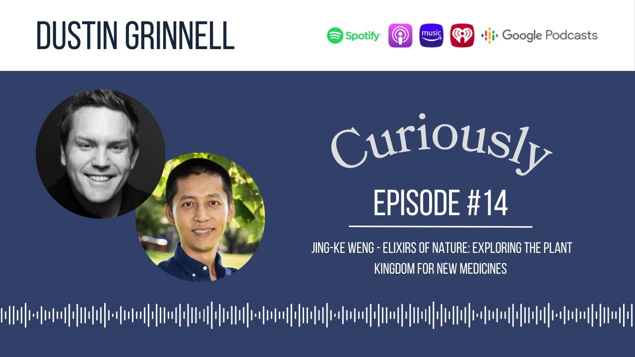 The Hidden Chemistry of Plants: How Nature’s Survival Strategies Became Our Medicine