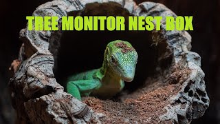 How I Set Up My Tree Monitor Nest Box + COLLECTING EGGS