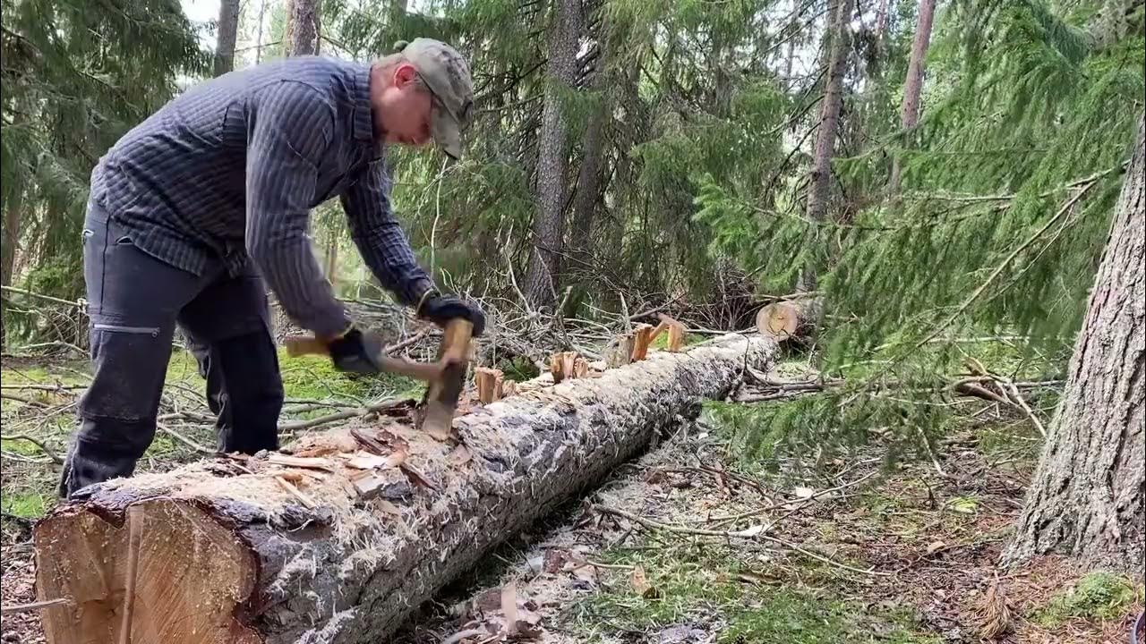 Prepping logs for log cabin build Lär mig timra eget timmerhus YouTube