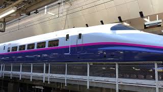 2021/01/31 E2系1000番台J63 東京到着