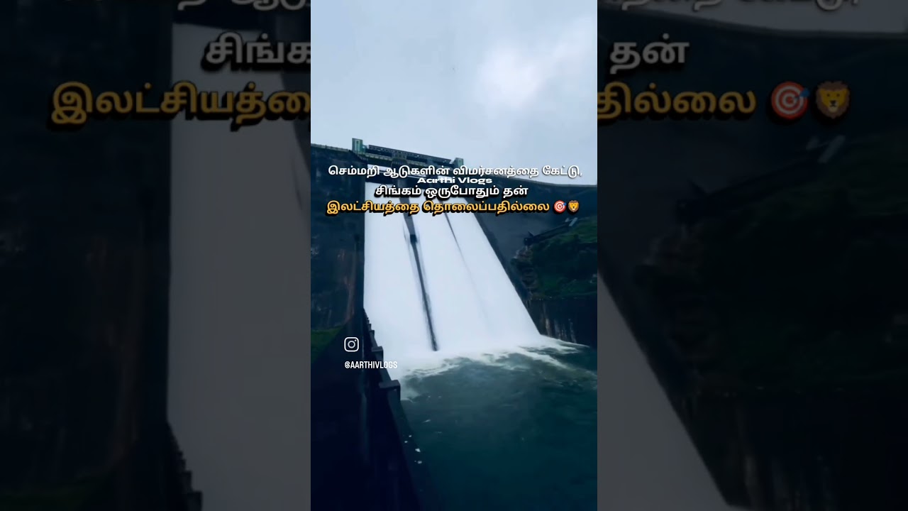 Stay committed on your goals 🎯🦁