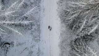 Moel Famau Blue Mountain Biking Route in the Snow by David King 227 views 3 years ago 1 minute, 18 seconds