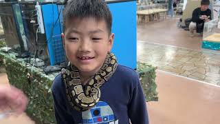 ヘビマフラー