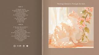 Fleeting Glimmers Through the Rain LP | Kat Records Presents Dreamlike Reflections in the Twilight