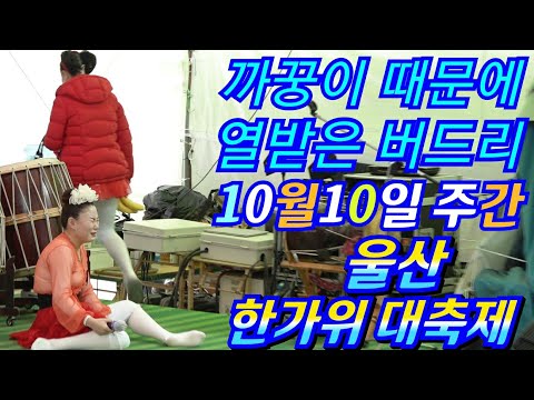 💖까꿍이때문에 열받은 <strong>버드리</strong> 10월10일 주간 울산 한가위 대축제💖