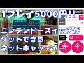 【紹介】ぽちくれ ニンテンドースイッチ(Nintendo Switch)のネットキャッチャー 1プレイ5000円!?