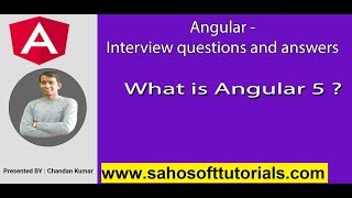 Angular Interview : What is Angular 5
