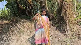 Amazingvillagewomennetfishinginvillagepondmounifishing