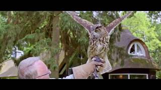 Outdoor - Explore The Veluwe - Van Der Valk Hotel Apeldoorn De Cantharel The Netherlands