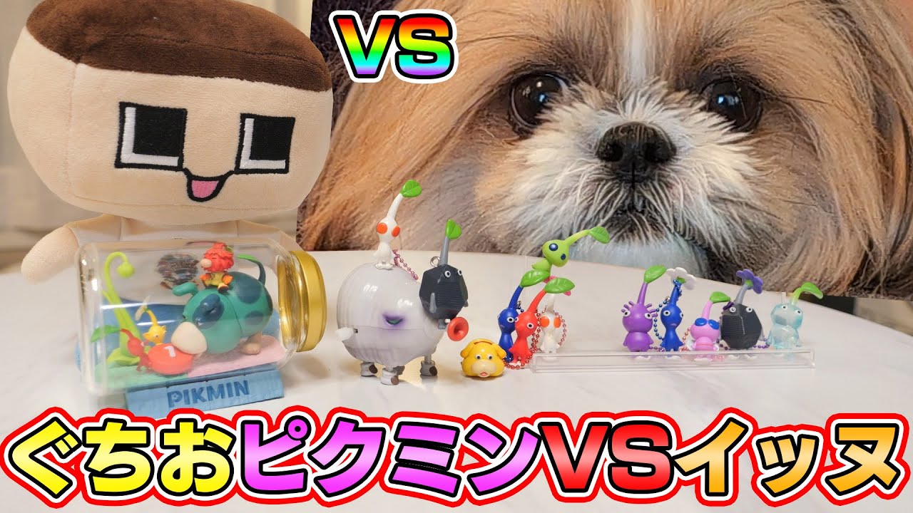 大乱闘！お正月バトル！ぐちおピクミンVSラスボス・イッヌ！【ぐち男】